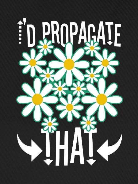 I'd Propagate That
