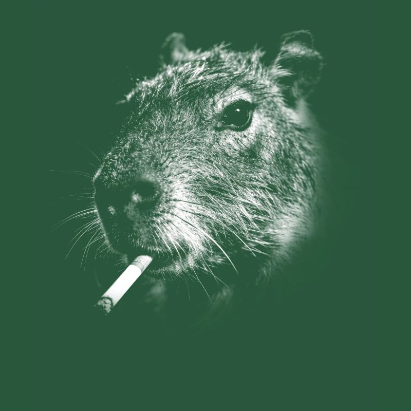 Smoking, cigarette, capybara smoking a cigarette