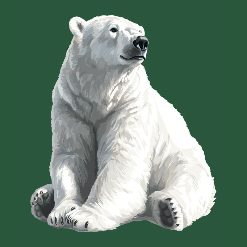 Polar Bär Illustration Eislicht