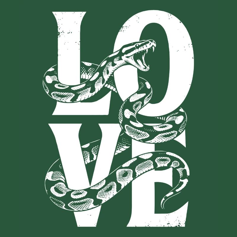 Königspython Schlangen LOVE Terrarium Python