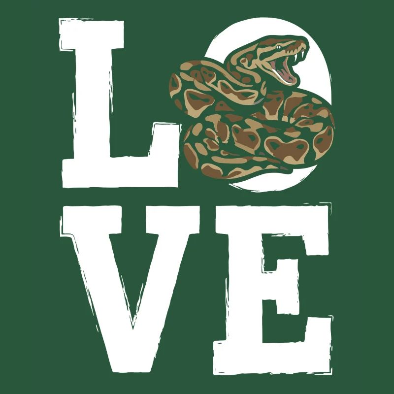 Königspython Schlangen LOVE Terrarium Python