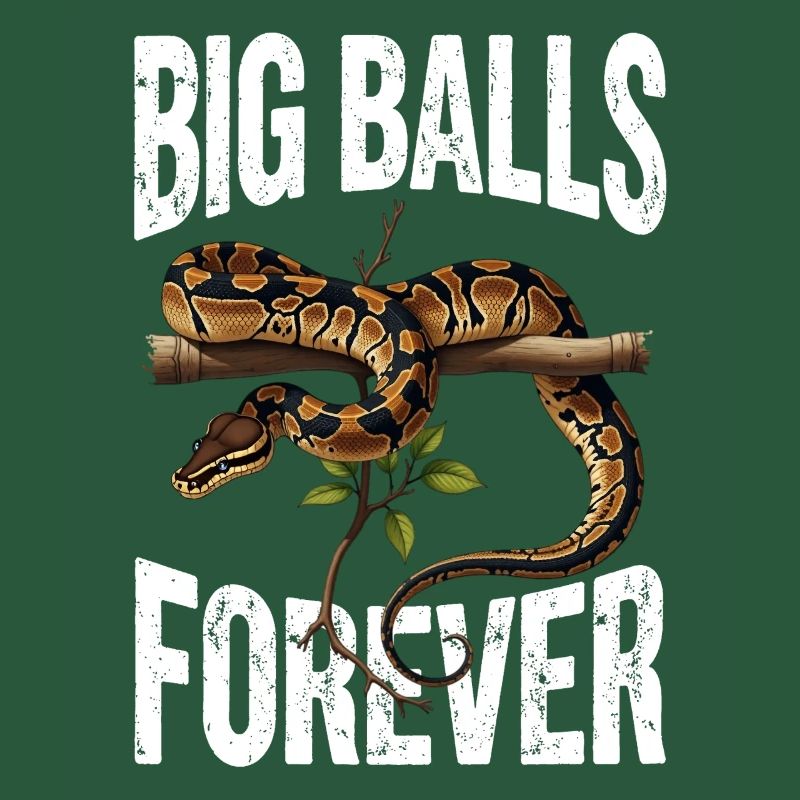 Python roi Serpents Amateurs de terrarium Python