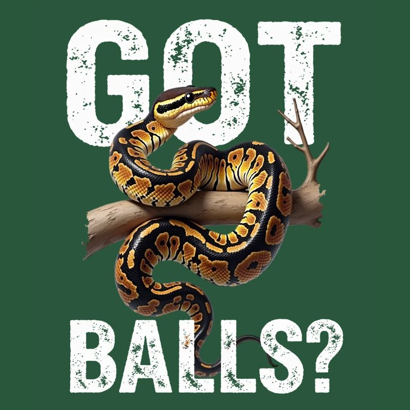 Python roi Serpents Amateurs de terrarium Python