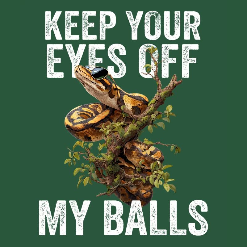 Königspython Schlangen Liebhaber Terrarium Python