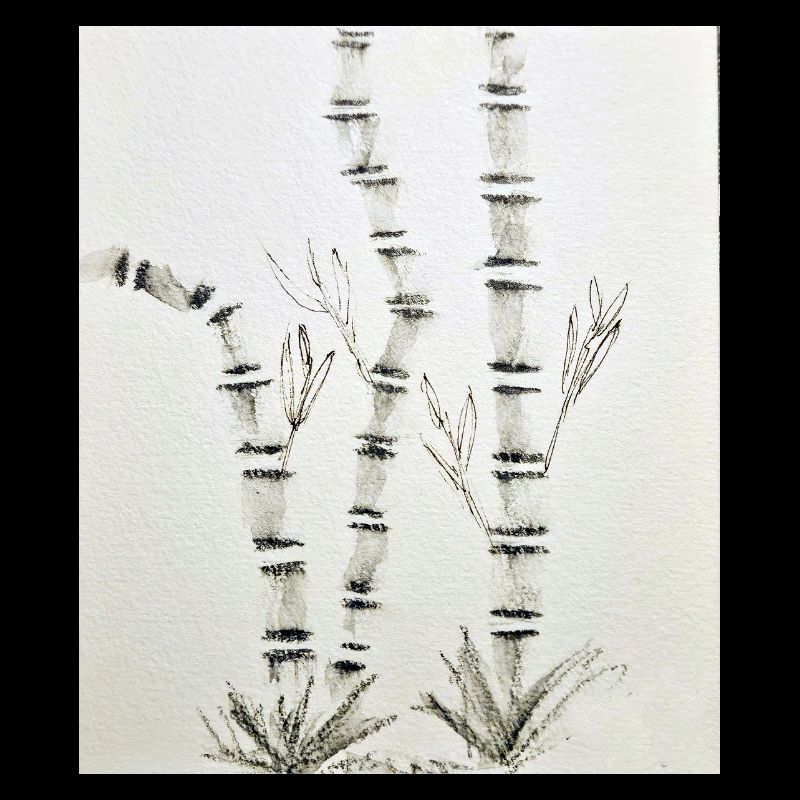 Bamboo Drawing in Ink Style