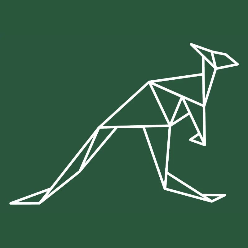 Kangaroo Geometry Lines
