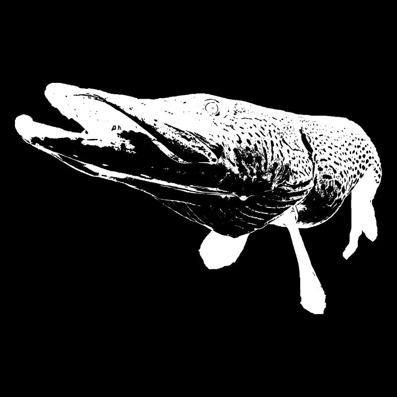 brochet - imprimé blanc