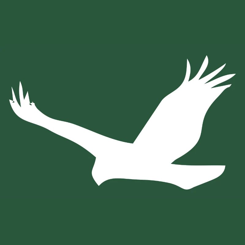 Bird Eagle Birds Fly