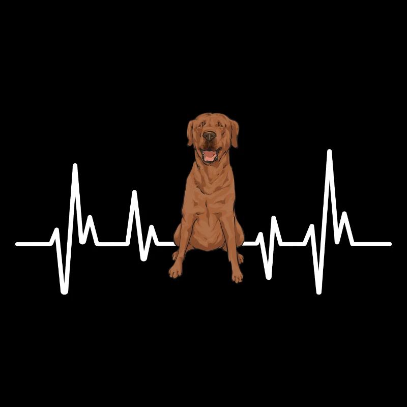 Foxred Labrador Fox Red Labrador Retriever