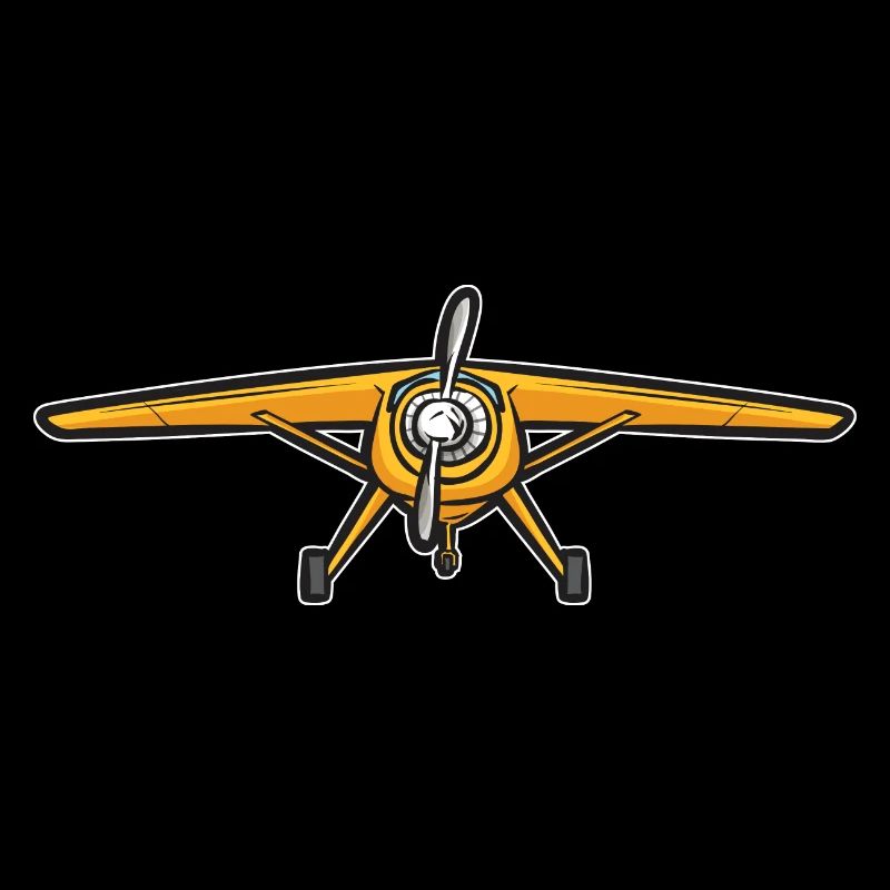 Modèle d’avion télécommandé