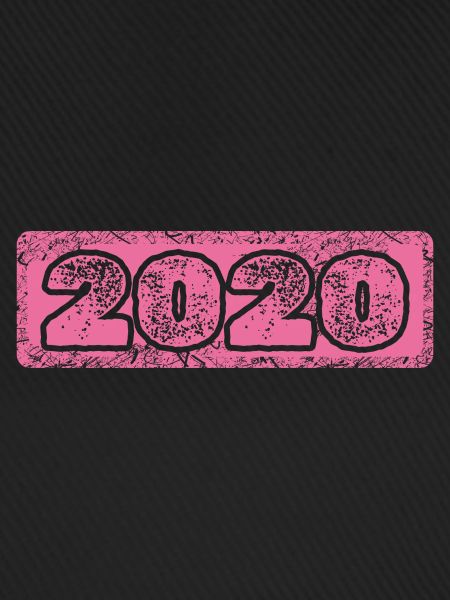 Year 2020