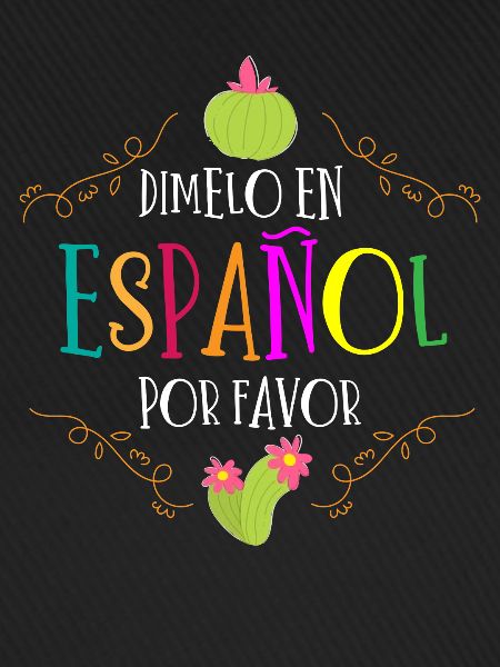 Spanischlehrer, Spanisch Unterrichten