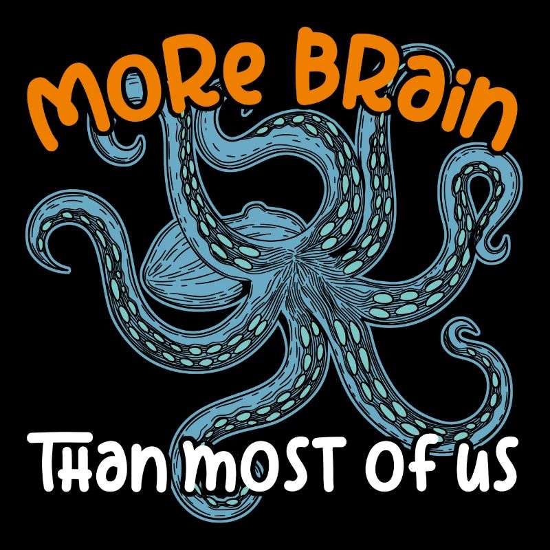 Smart Octopuses - Big Octopus