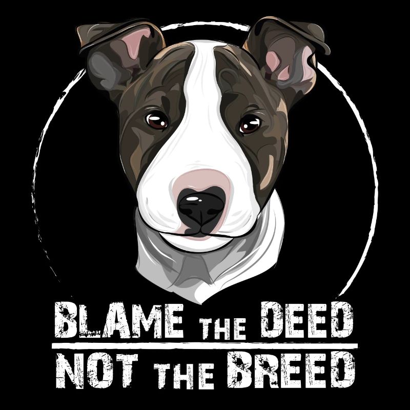 Bullterrier blâmer l'acte