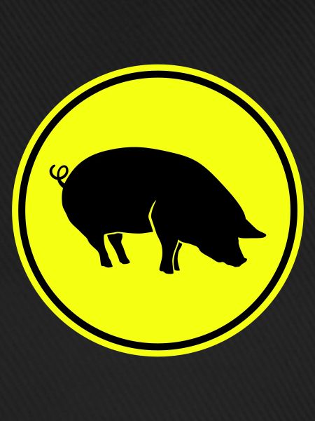Pig Animal