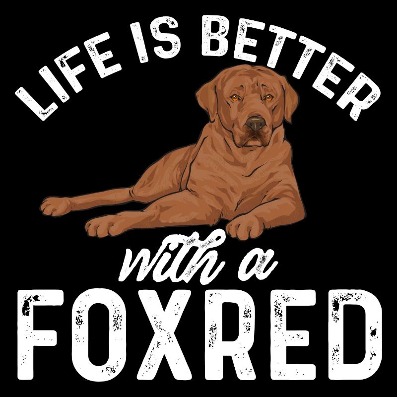 Foxred Labrador Fox Red Labrador Retriever