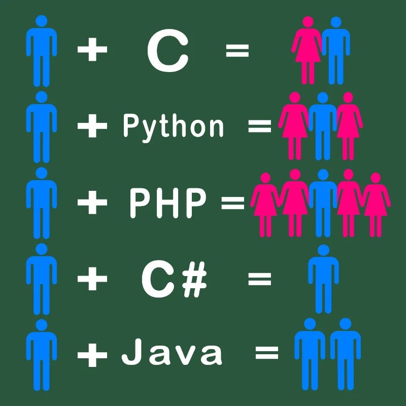 Programmer