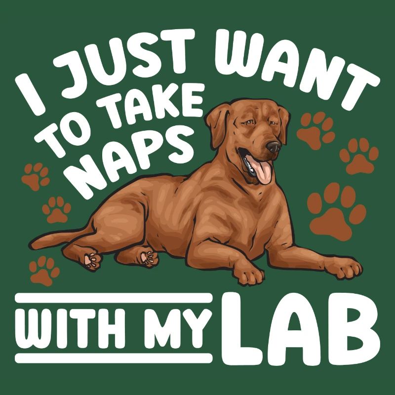 Fuchsroter Labrador Retriever Fox Red Labrador