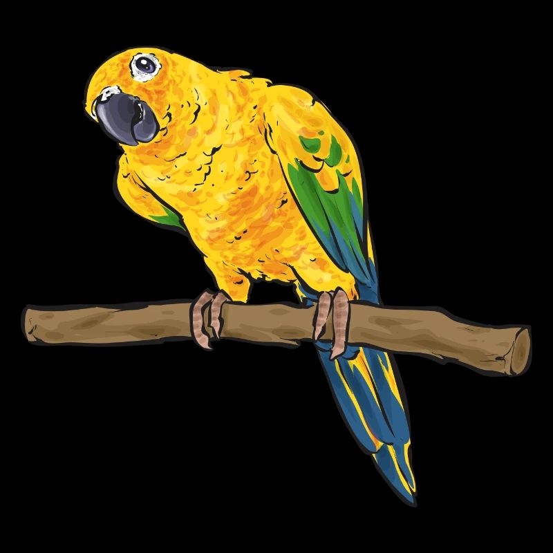 Perruche, Perroquet, Perruche, Oiseau