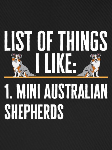 Miniature Australian Shepherd