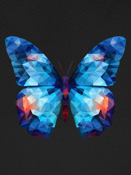 Blue Morpho Butterfly