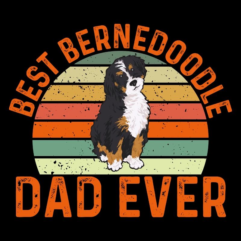 Bernedoodle Hund