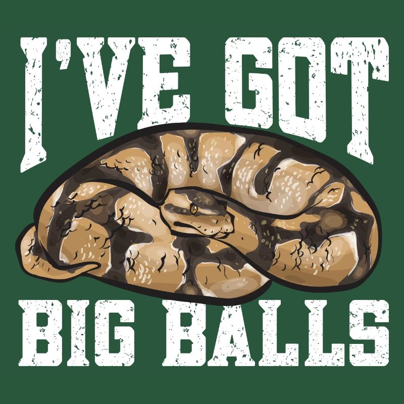 Ball Python Snake King Python