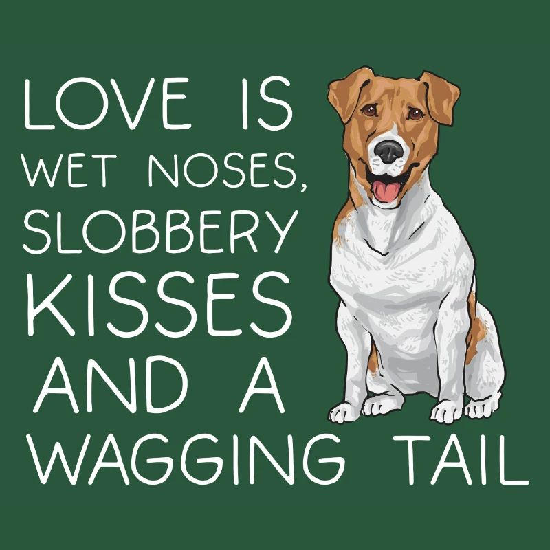 Jack Russell Terrier
