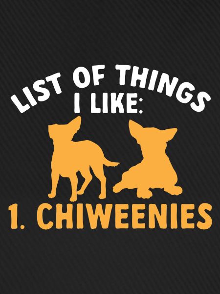 Chiweenie Chien
