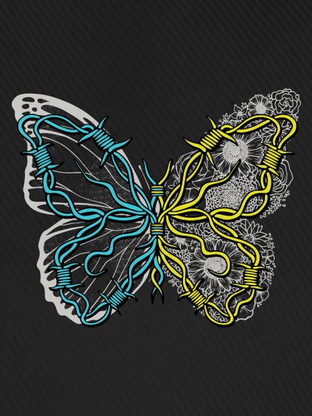 papillon insecte insectes