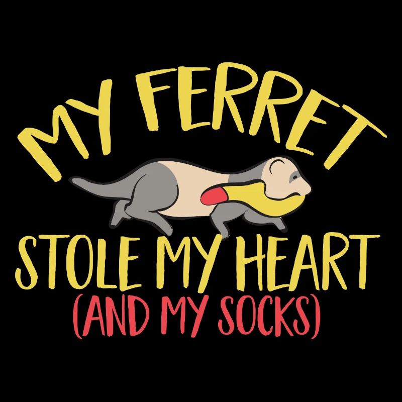 Furet, propriétaire de furet