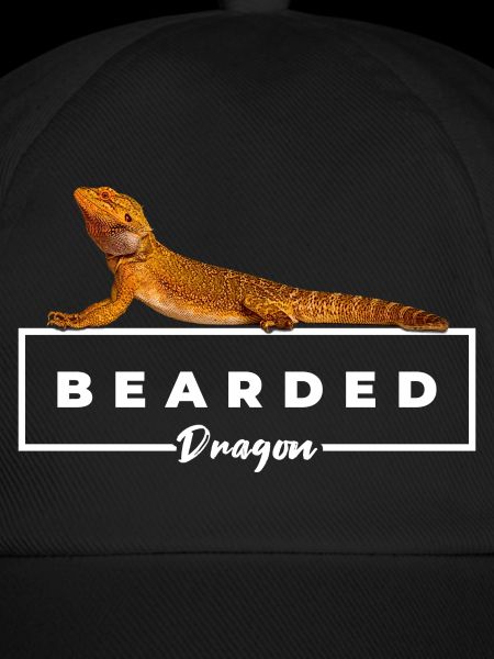 Bearded Dragon Reptile Owner