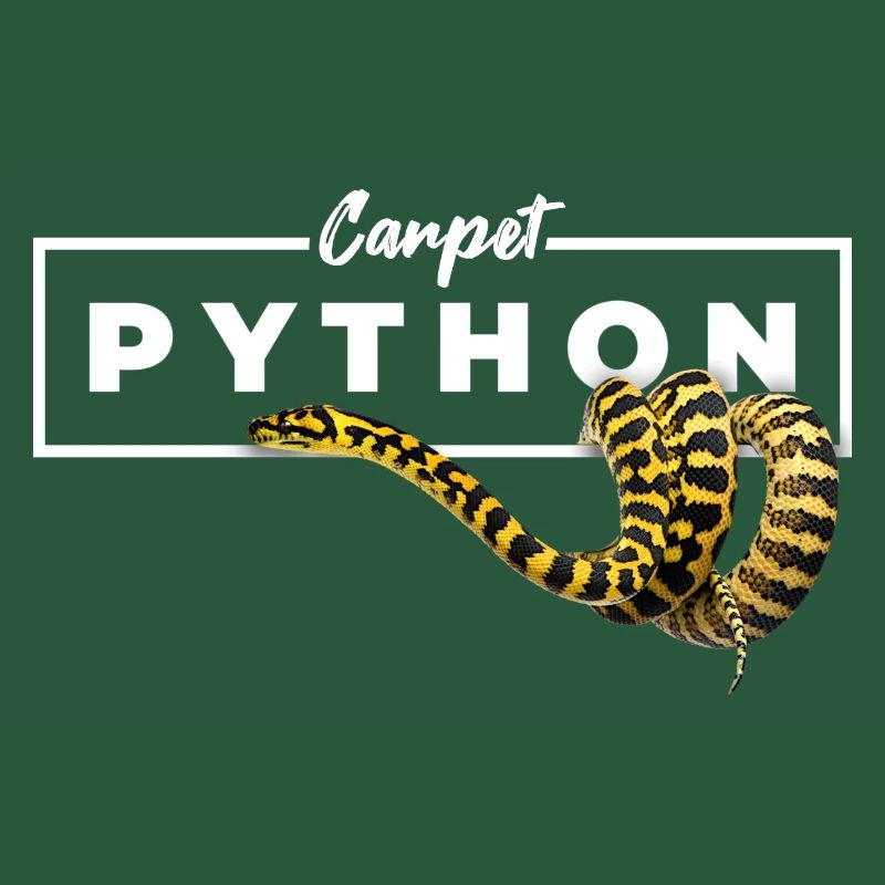 Teppichpython Geometrische Reptilienbesitzerin