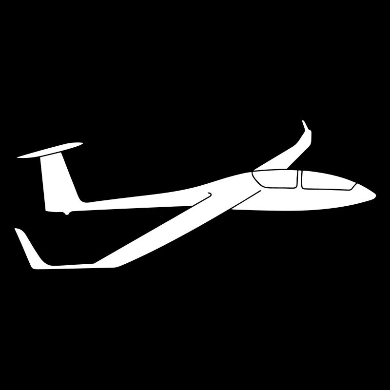 DG1000 glider glider pilot glide