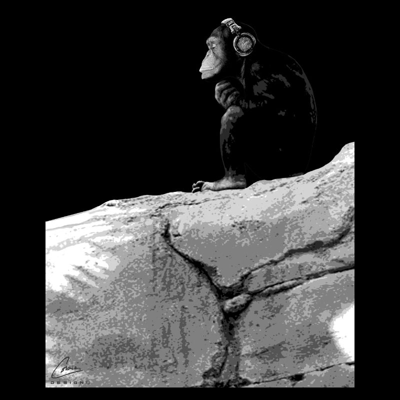 Musik-Affe