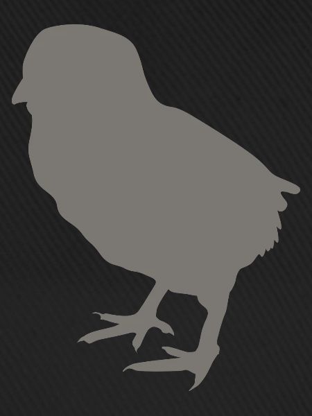 poussin