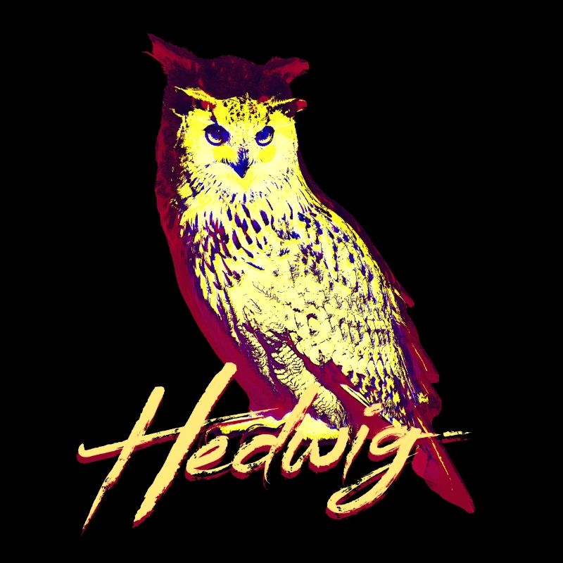 Hedwig Owl
