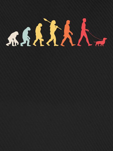 Dackel Evolution Retro