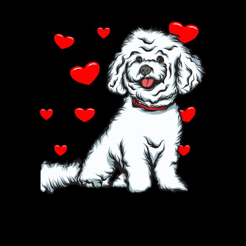 Bichon Frise