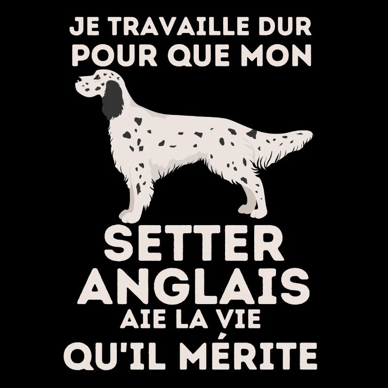 Setter anglais chien de race