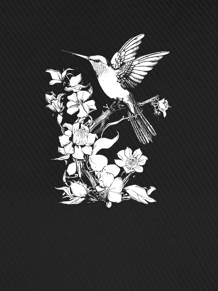Hummingbird