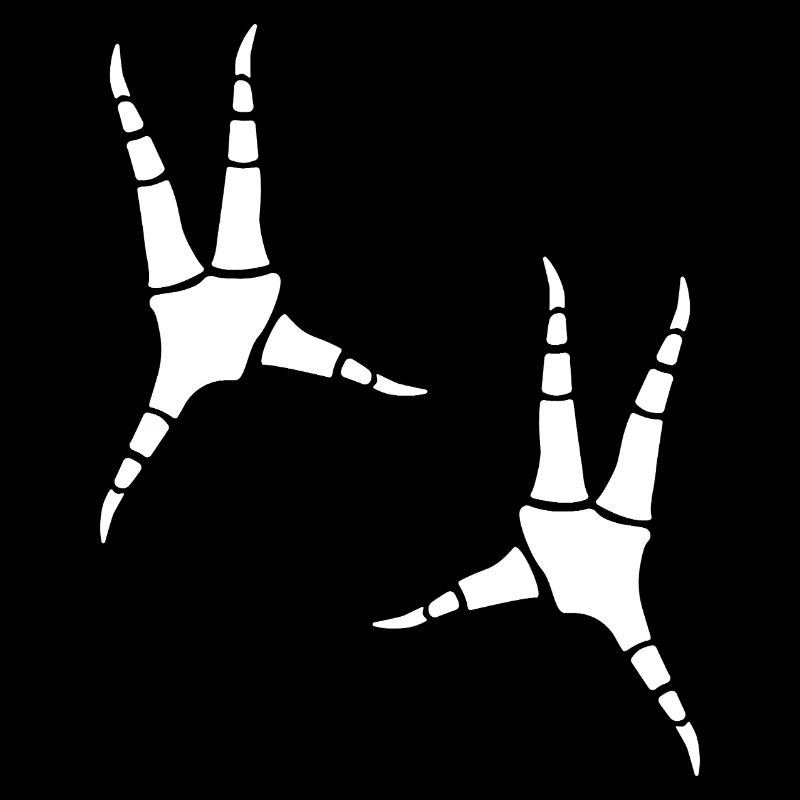 Parrot footprints