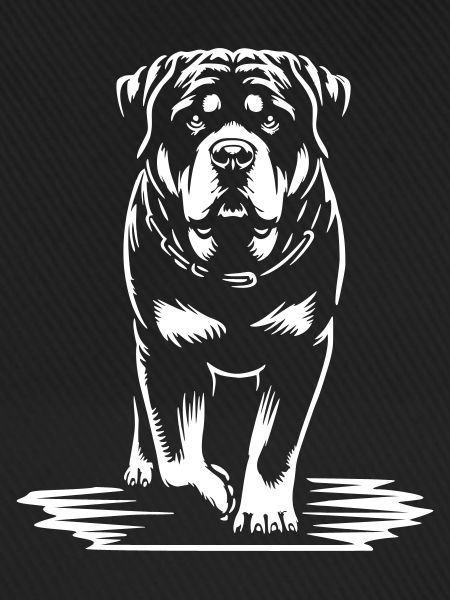 Rottweiler "Black Edition"