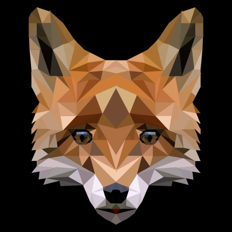 Polygon Fuchs