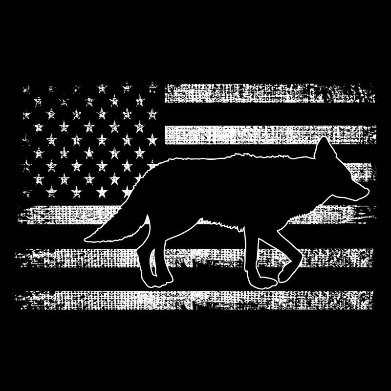 Conception de coyote pour les réacteurs de coyote