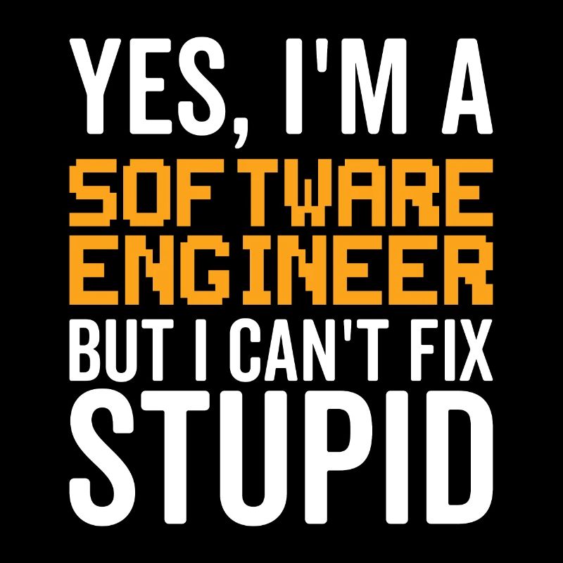 Dummes Software -Ingenieur