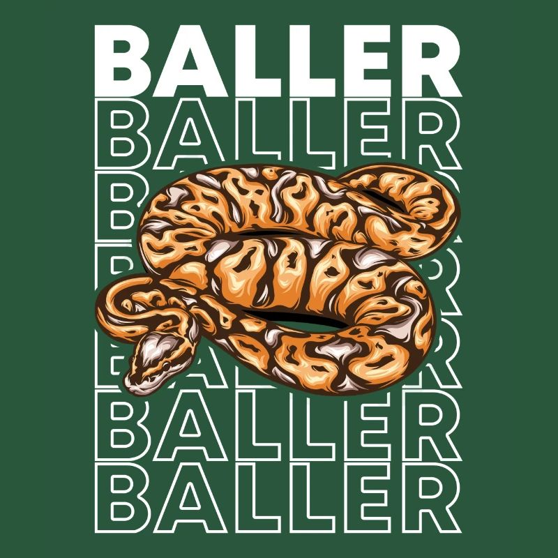 Ball Python 80's Style Baller Royal Python Snake