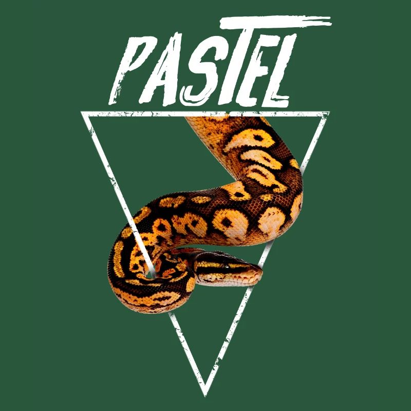 Pastel Ball Python Owner