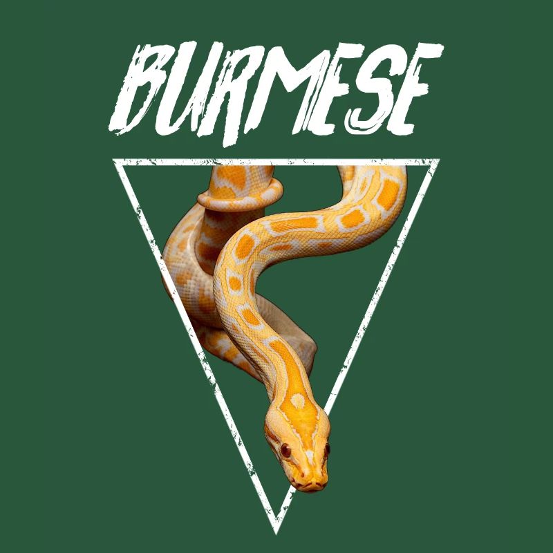 Burmese Python Snake Owner