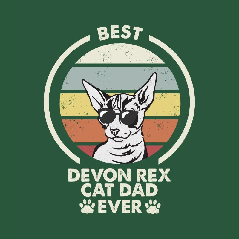 Papa chat - Devon Rex Chat